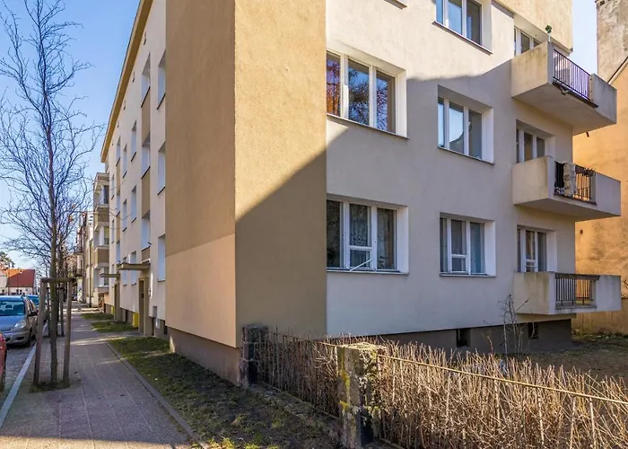 Sunny - Billberry Sopot